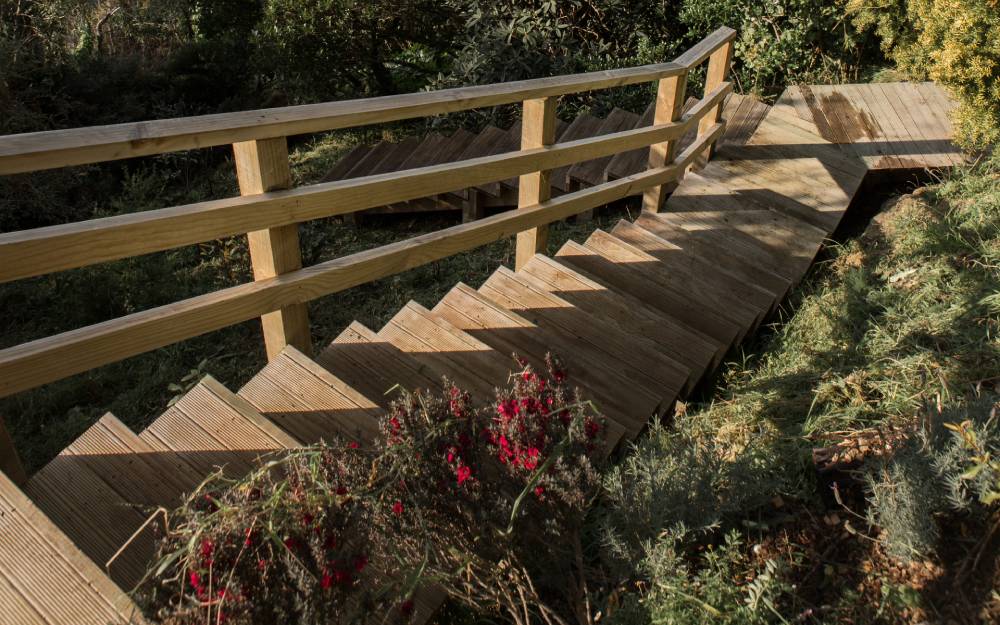 Landscapers in Wellington