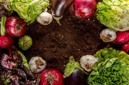 Landscapers in Wellington