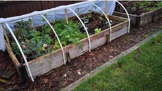 Landscapers in Wellington