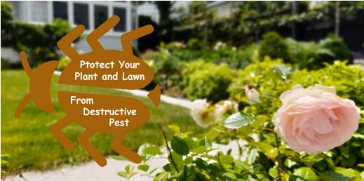 Landscapers in Wellington