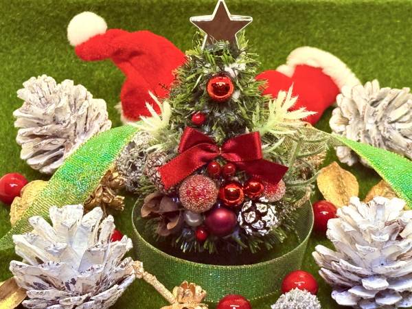 Landscaping Companies in Wellington