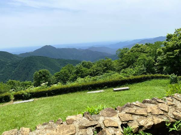 Landscaping Companies in Wellington